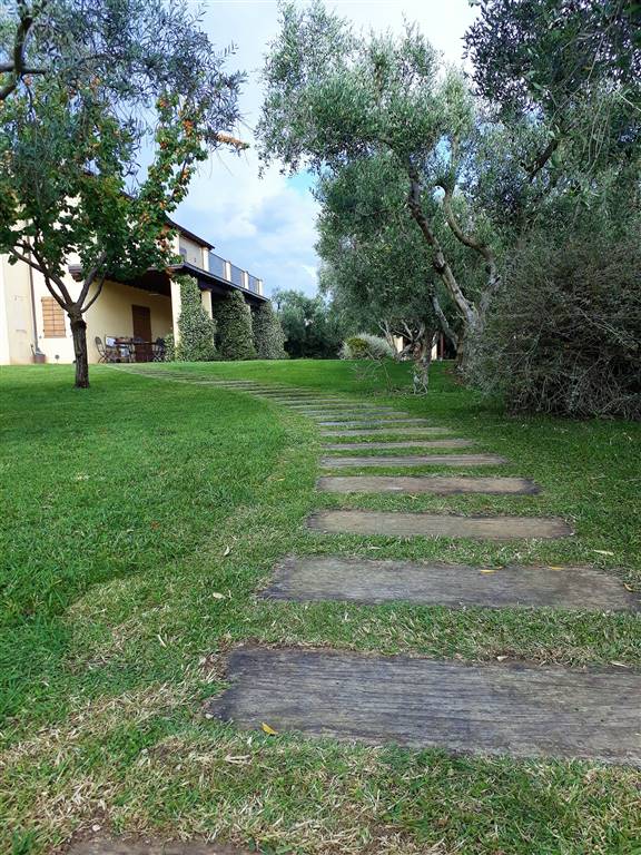 Pescia Romana Montalto Di Castro